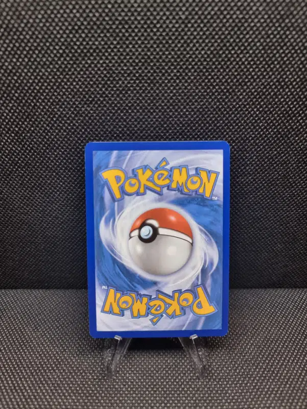 ImageUpload|11283504