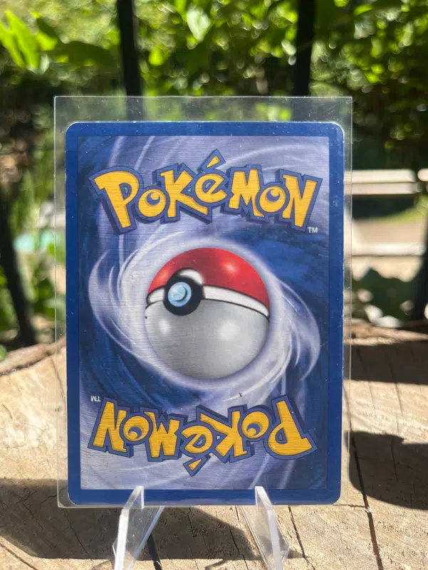 ImageUpload|10565786