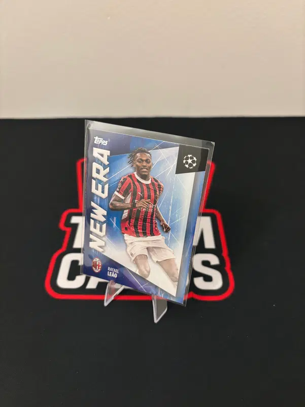 ImageUpload|12933019