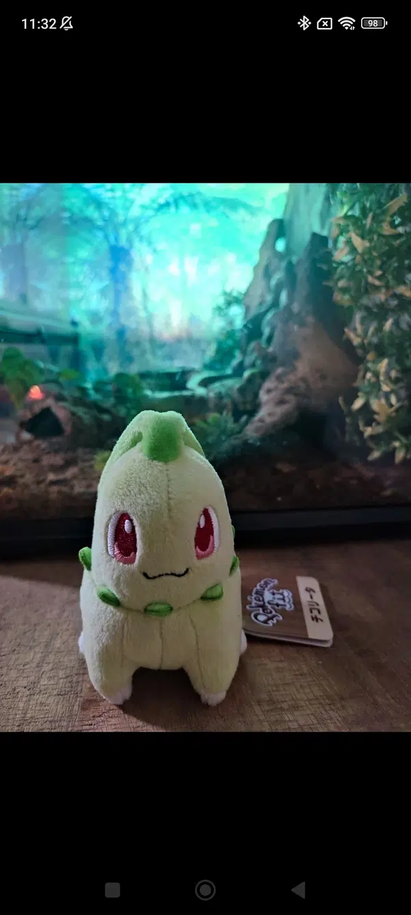 ImageUpload|13713190