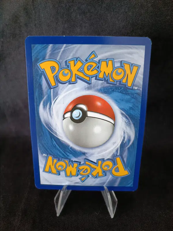 ImageUpload|10216028