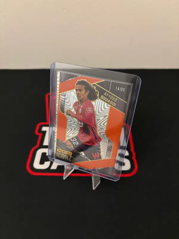 ImageUpload|12930561