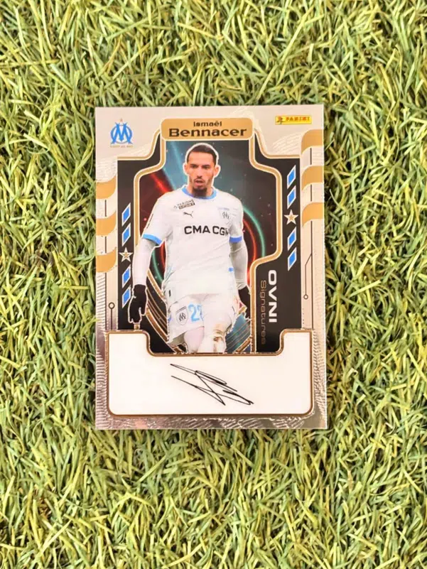 ImageUpload|10510579