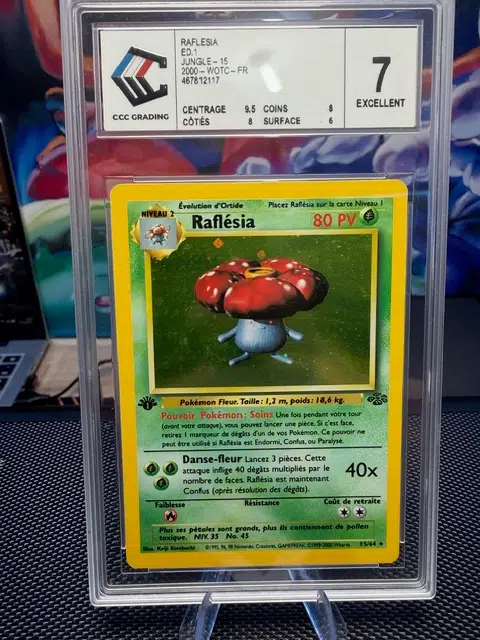 ImageUpload|13284904