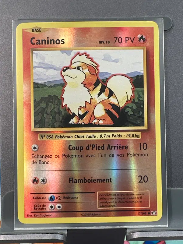 ImageUpload|10417476