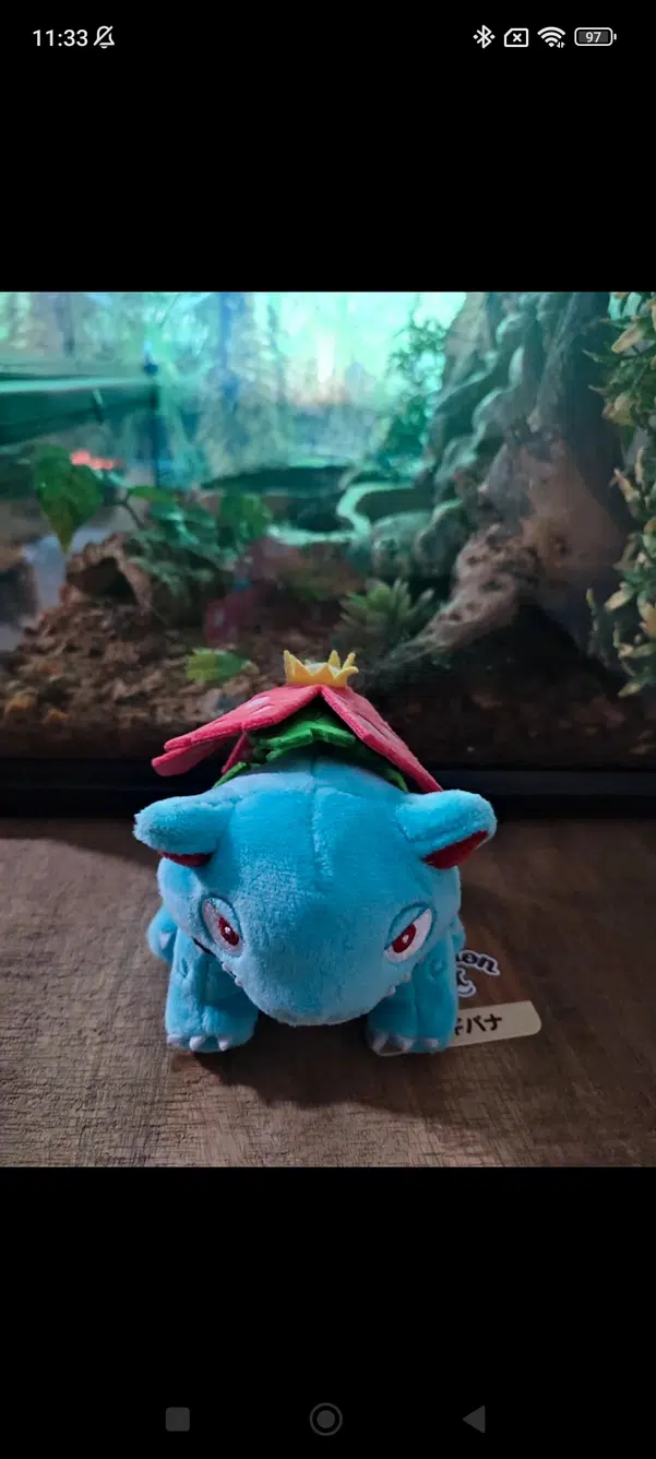 ImageUpload|13713189