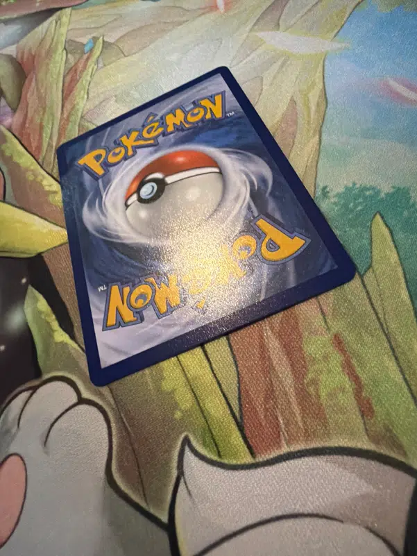 ImageUpload|14304874