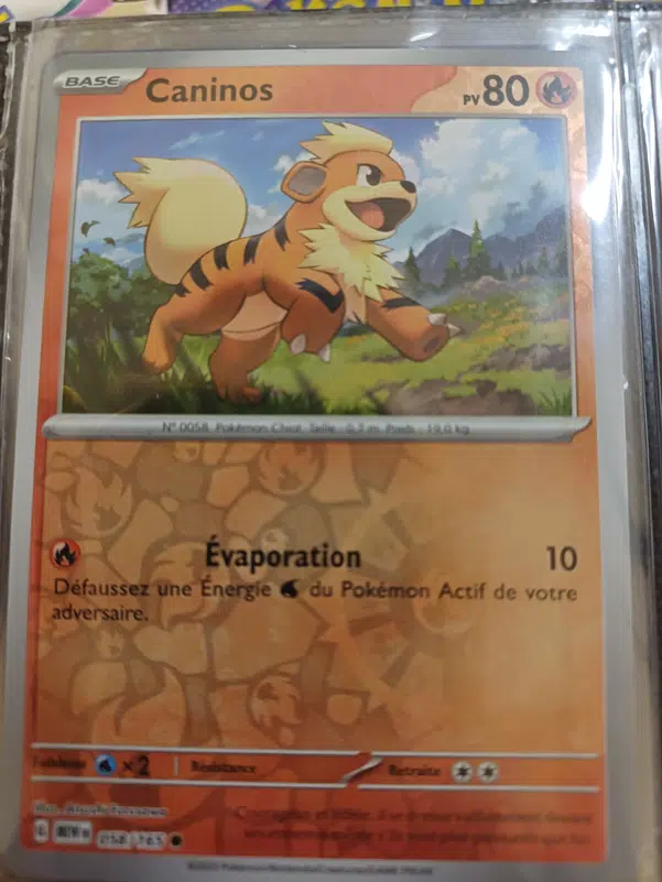 ImageUpload|12236657