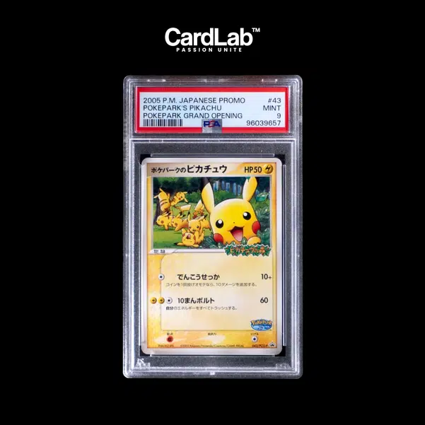 ImageUpload|10239678