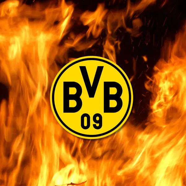 ImageUpload|10181471