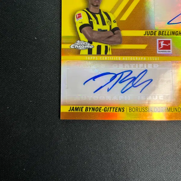 ImageUpload|14718519