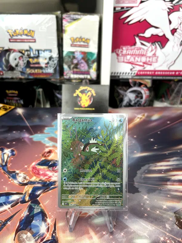 ImageUpload|11348928