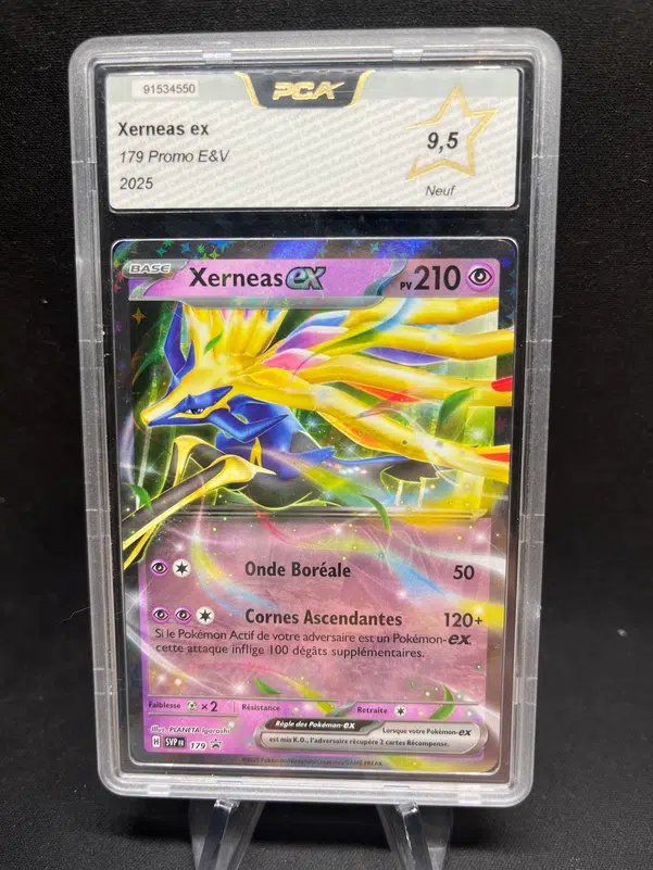 ImageUpload|13883538