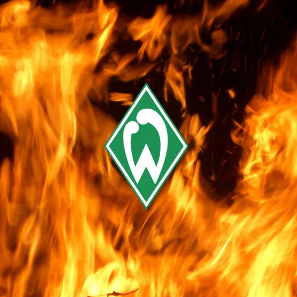 ImageUpload|10181469