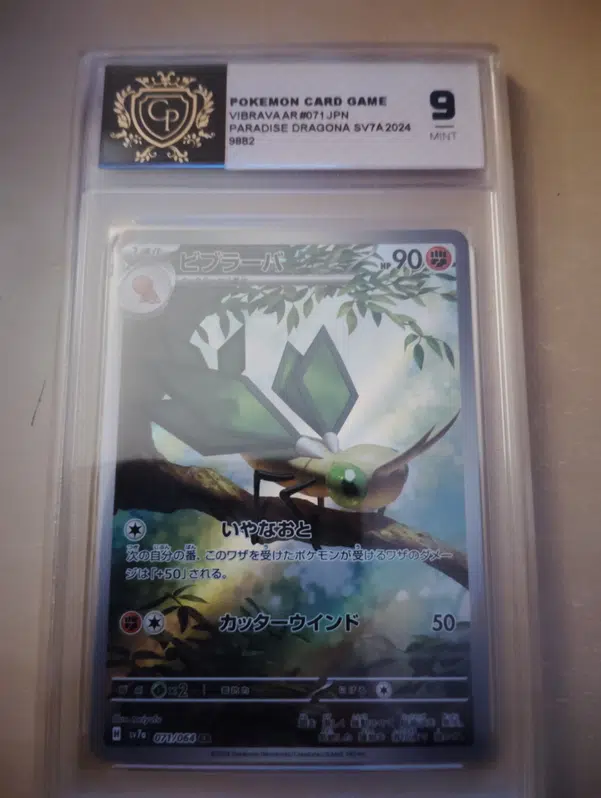 ImageUpload|11607353