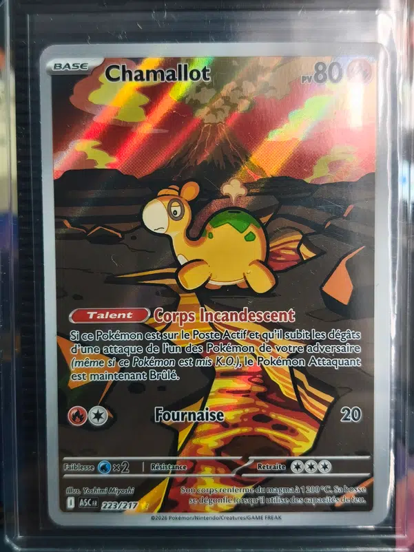 ImageUpload|15943367