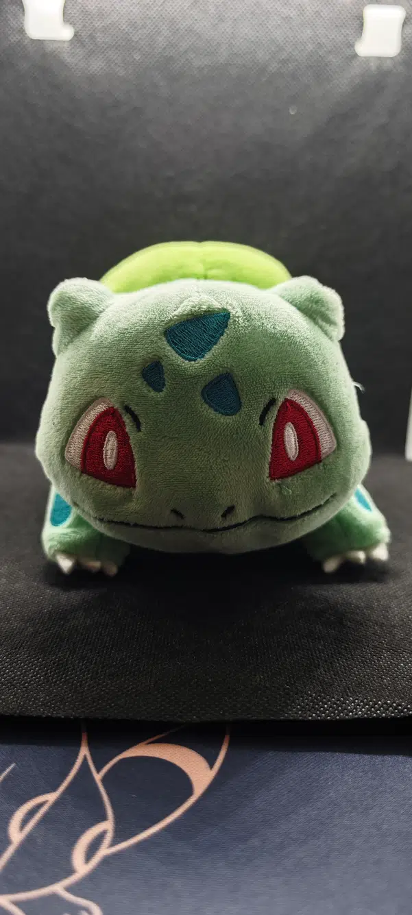 ImageUpload|10783889