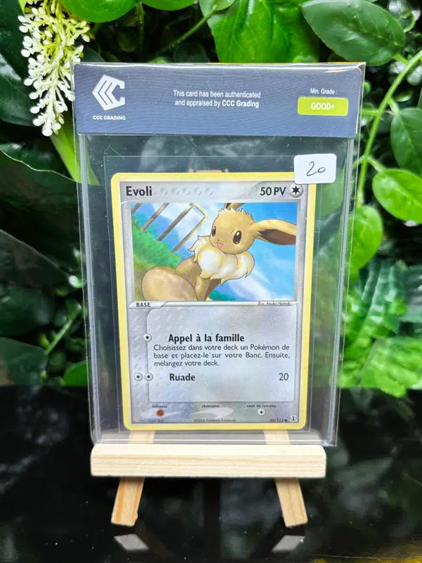 ImageUpload|13351913