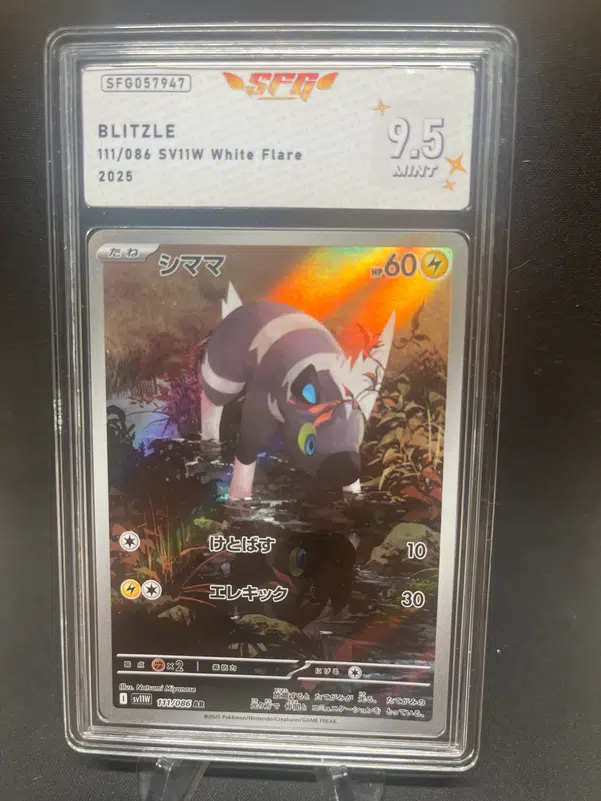 ImageUpload|12768962