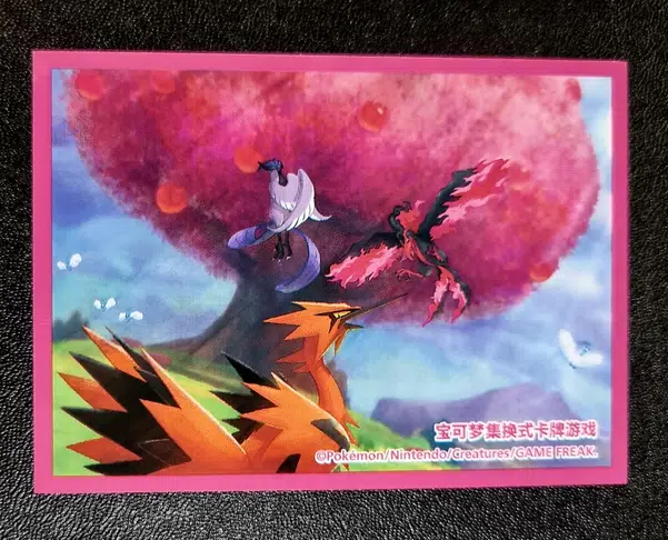 ImageUpload|13306073