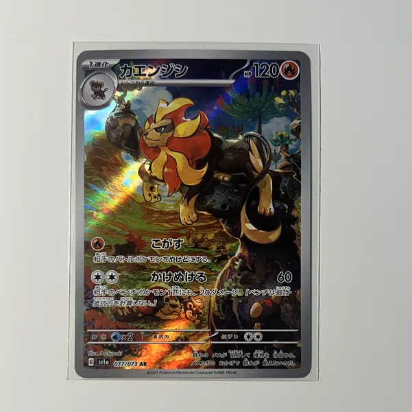 ImageUpload|11513434