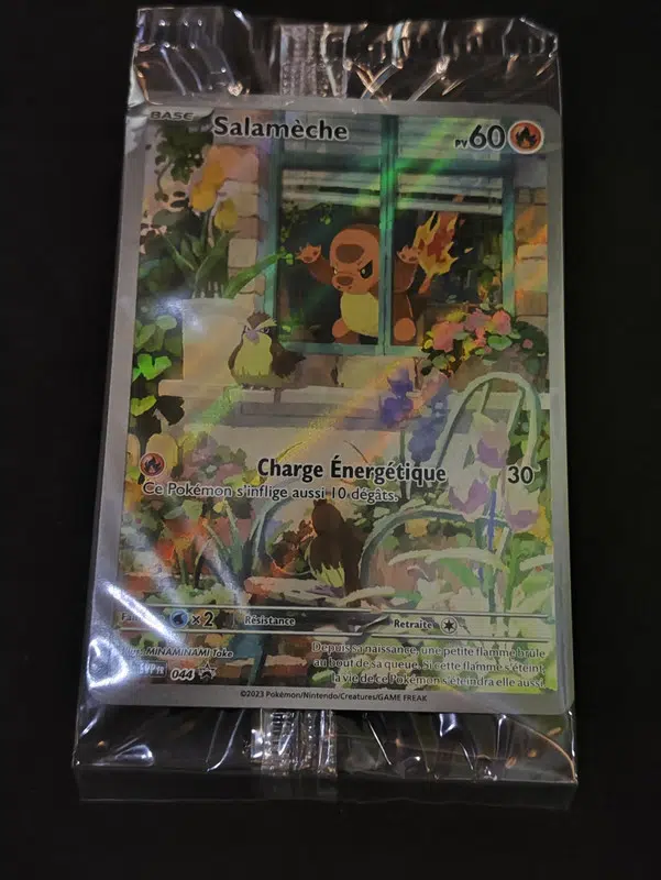 ImageUpload|13179372