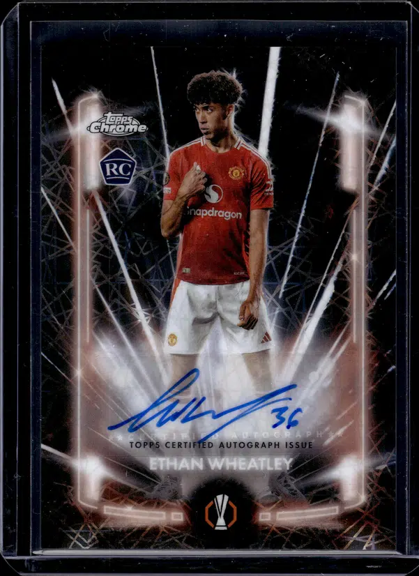 ImageUpload|10908074