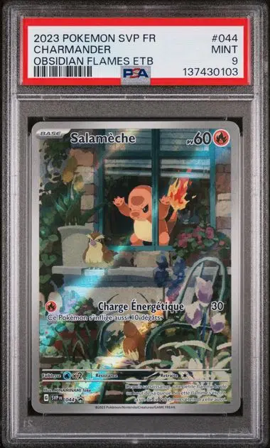 ImageUpload|14762284