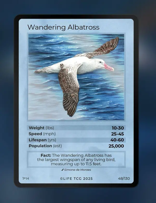 ImageUpload|12642973