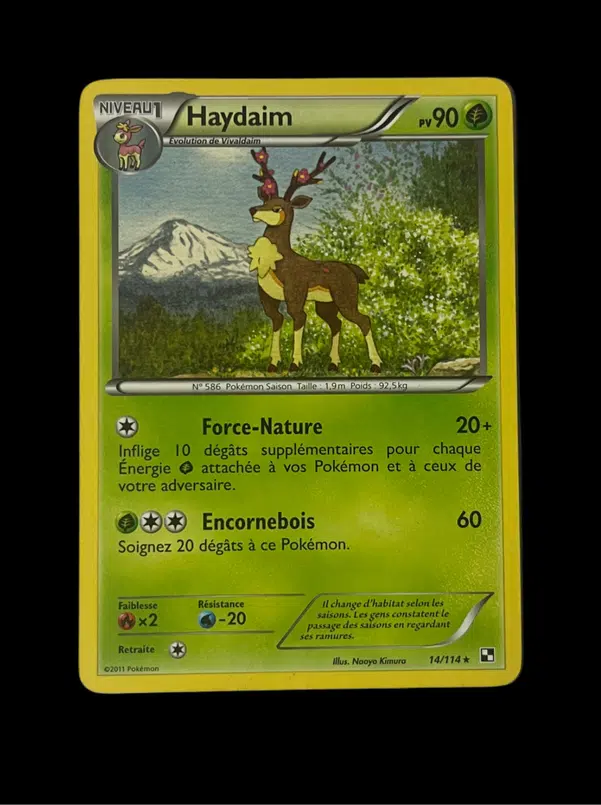 ImageUpload|14074696