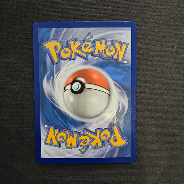 ImageUpload|10013282