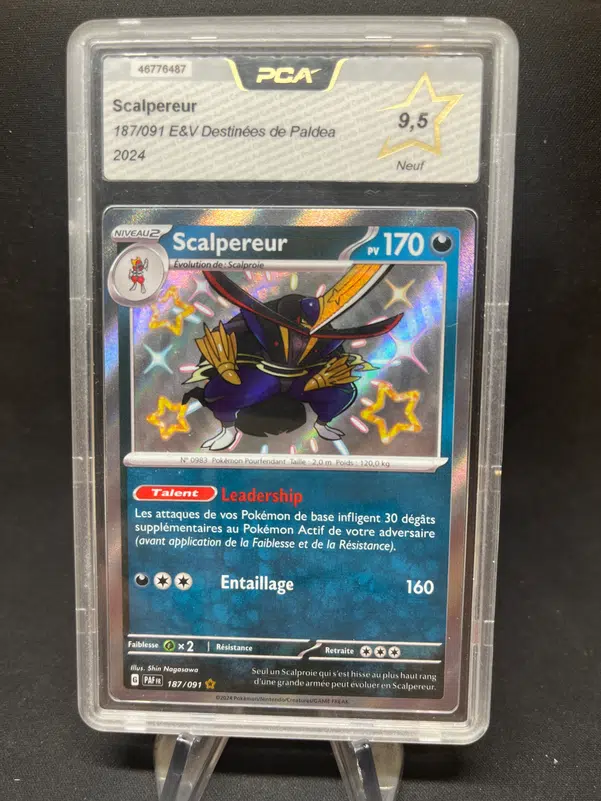 ImageUpload|12772232