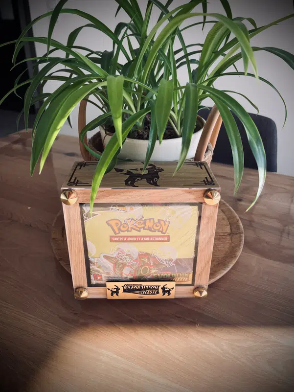 ImageUpload|11954062