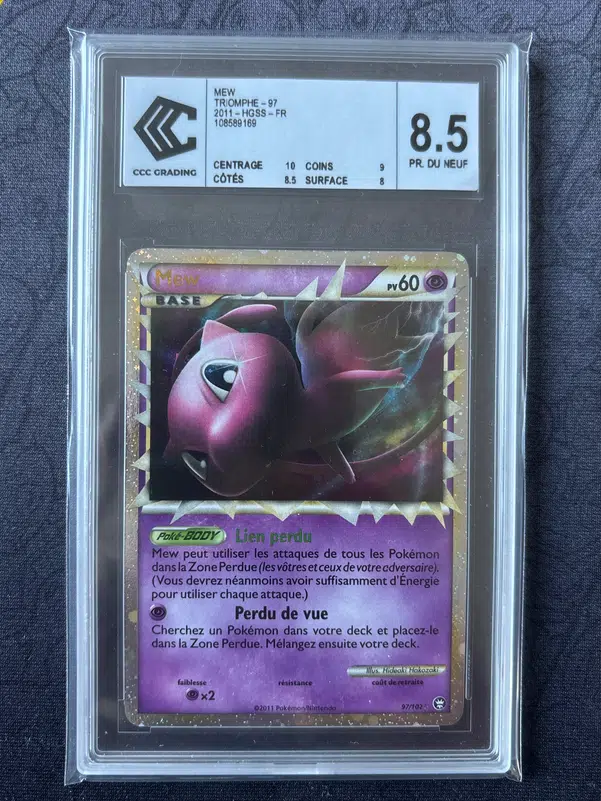 ImageUpload|15616487