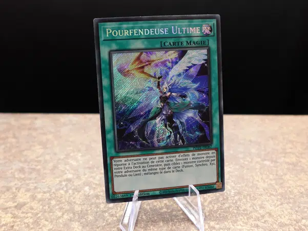 ImageUpload|10529211