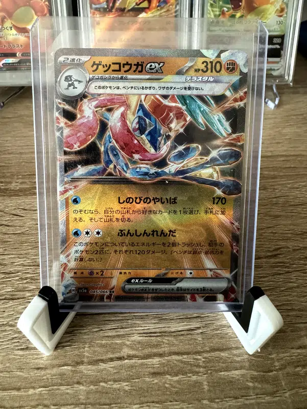 ImageUpload|12918169