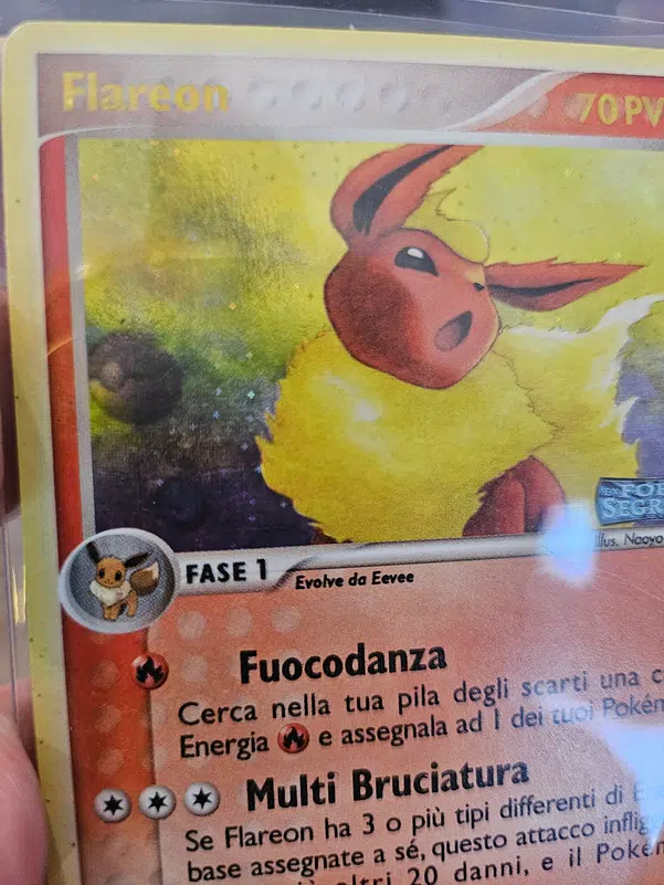 ImageUpload|14323619