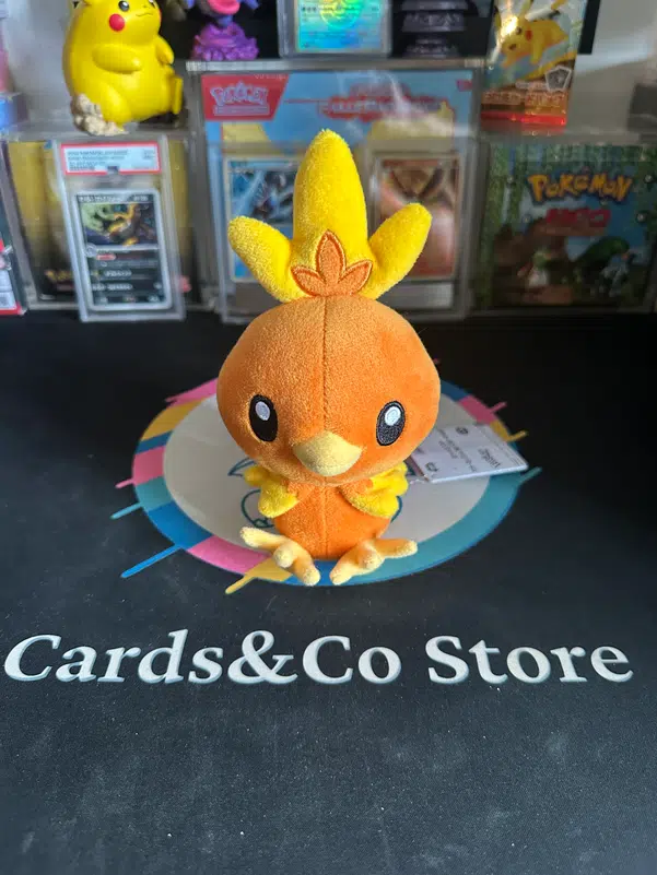 ImageUpload|12932997