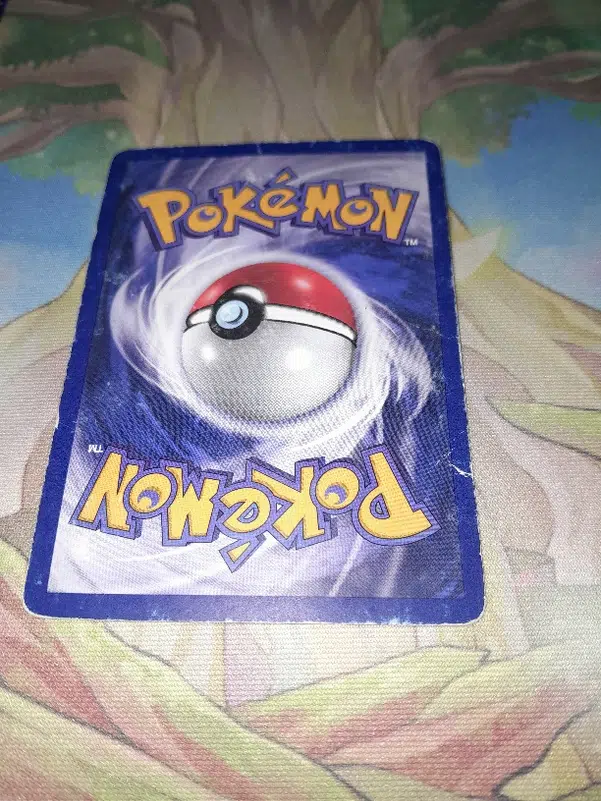 ImageUpload|12141269