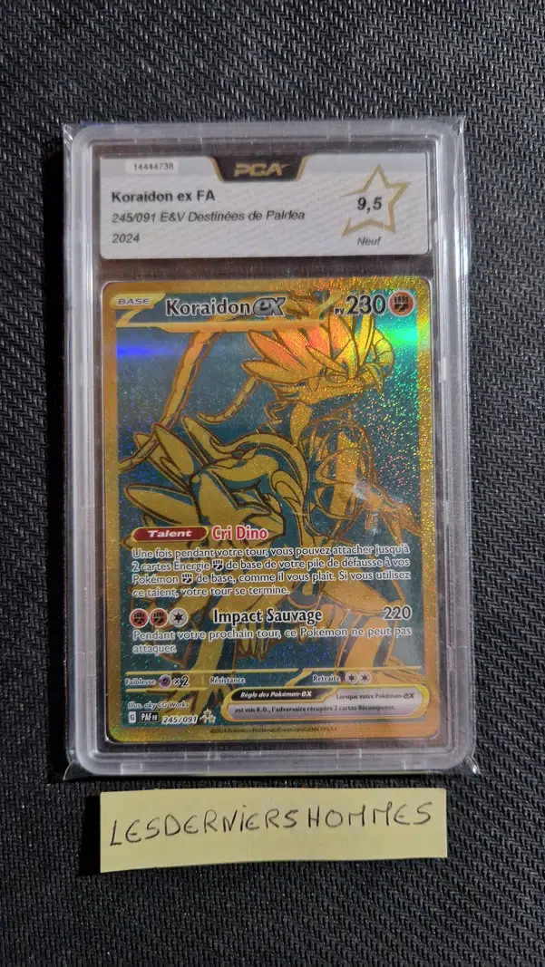 ImageUpload|13230851