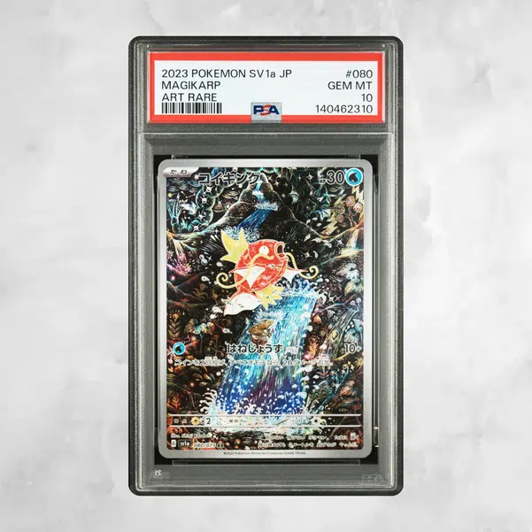 ImageUpload|15549010