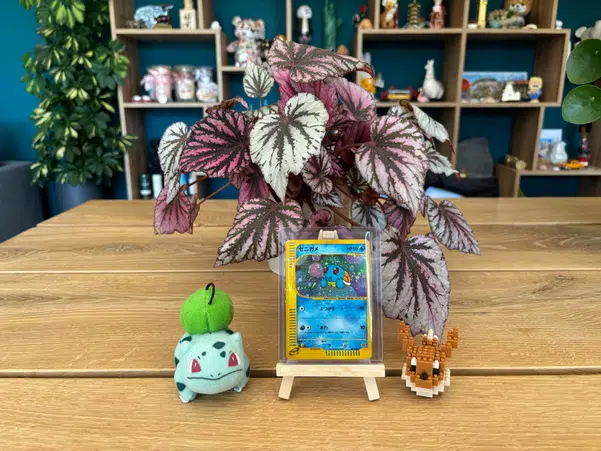 ImageUpload|14621639