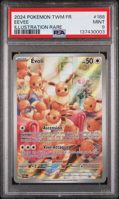 ImageUpload|14762180