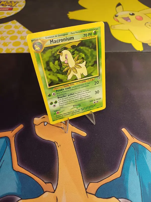 ImageUpload|12236164