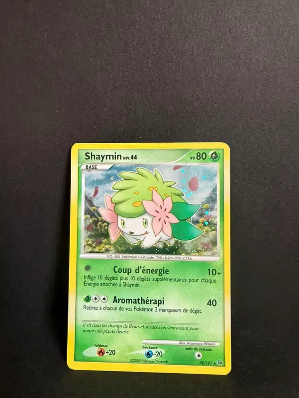 ImageUpload|12986198