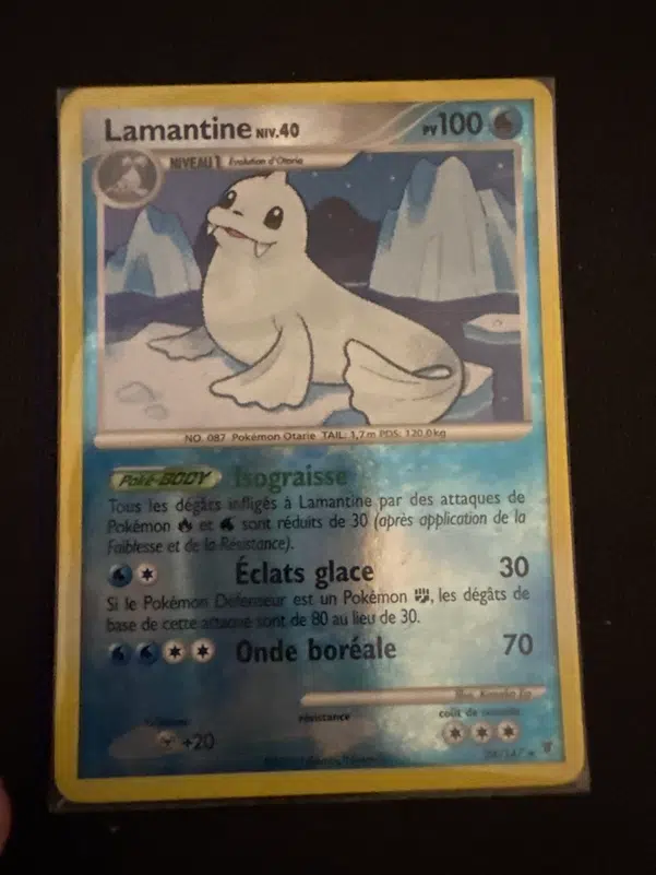 ImageUpload|11113168