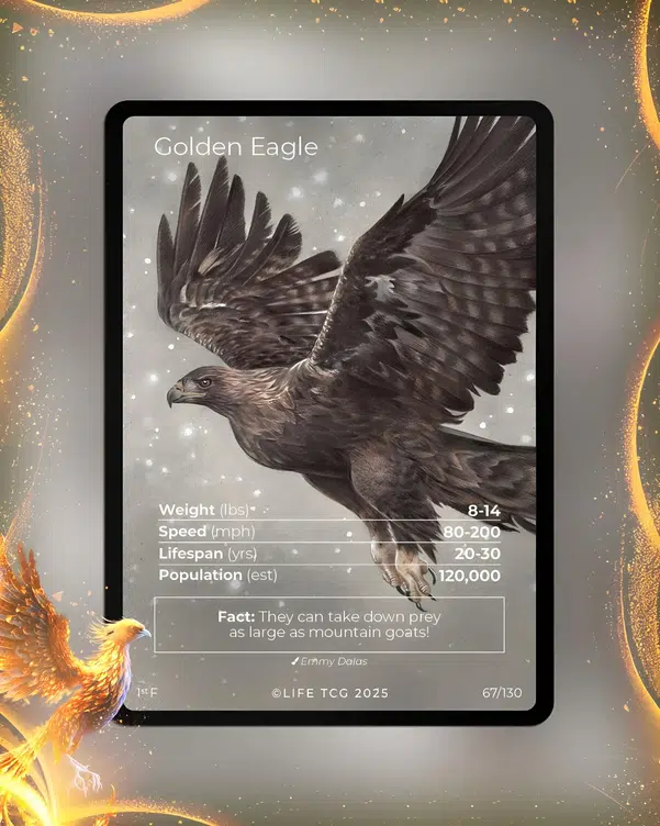 ImageUpload|12642973