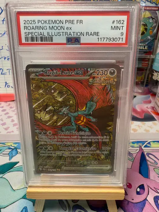 ImageUpload|12403617