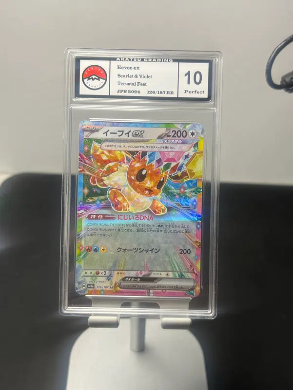 ImageUpload|10197521