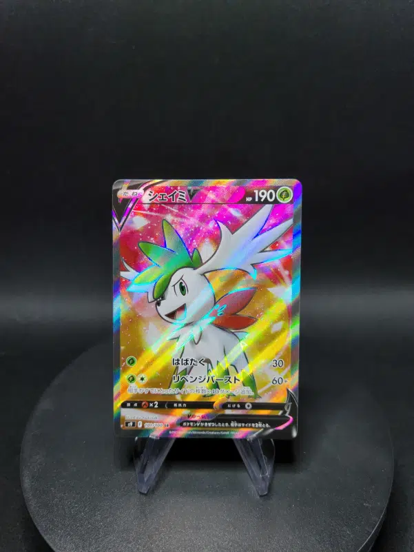 ImageUpload|10619478